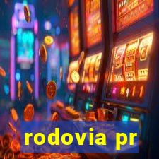 rodovia pr-317 km 155 0m sentido cresc